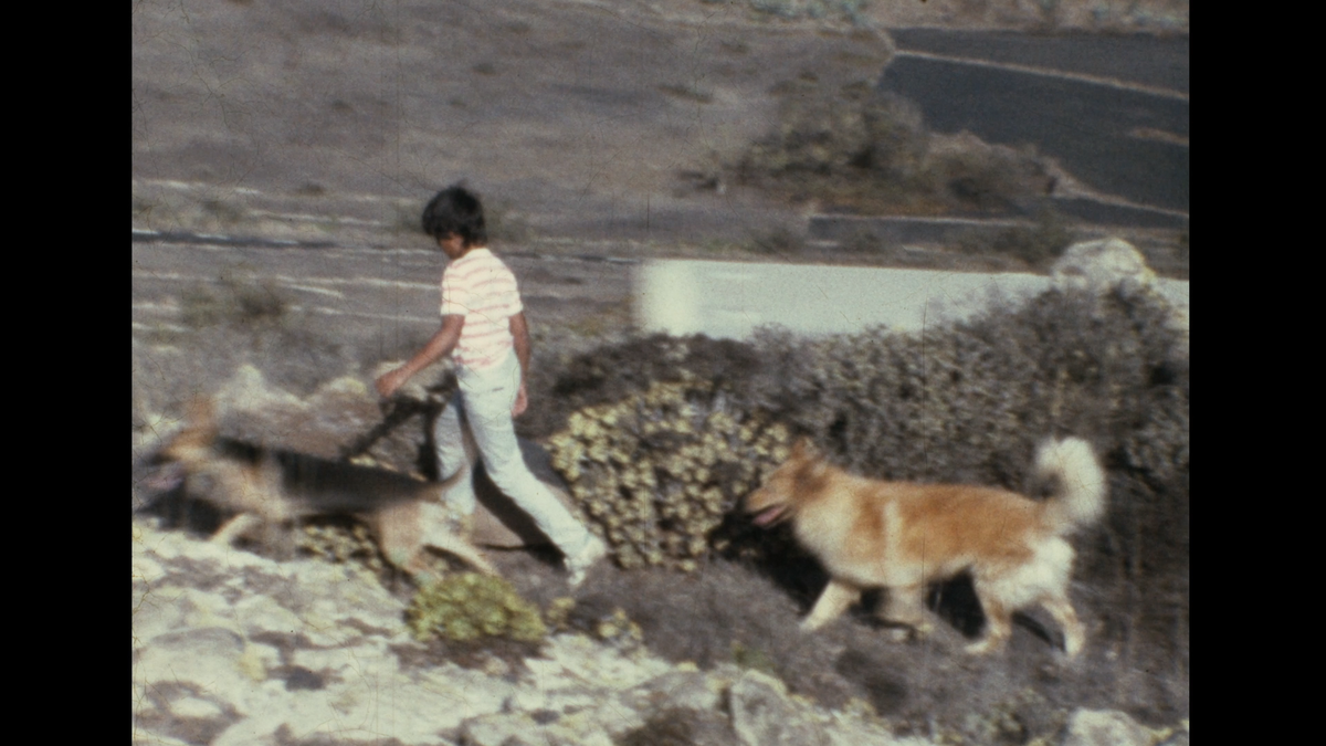 Niño con perro pasean por el Mirador de Haría en VIDEOS 